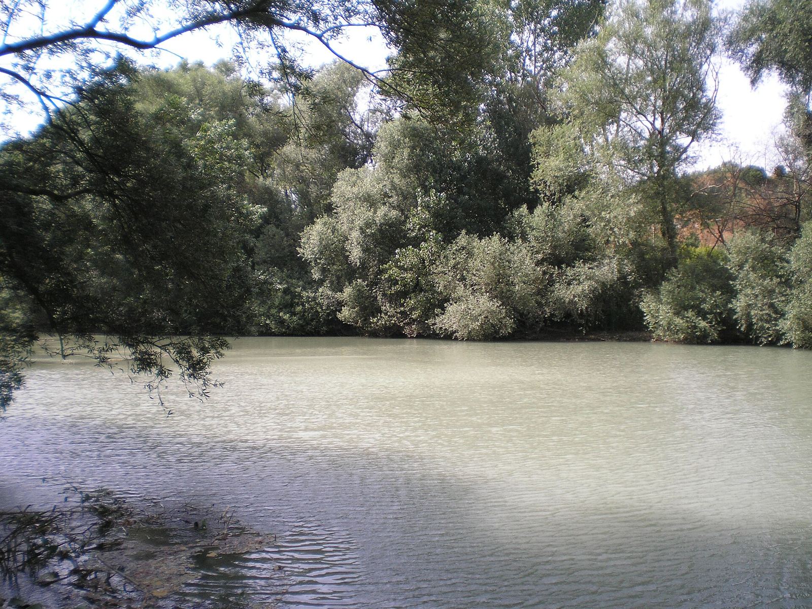 Oasi naturale nella valle del Sele